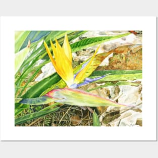 Bird of Paradise flower Posters and Art